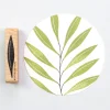 Blad Bamboeblad