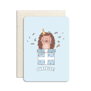 Wenskaart | Surprise!